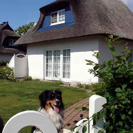 Blaues Haus